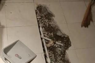 阿拉善左卫生间漏水检测电话